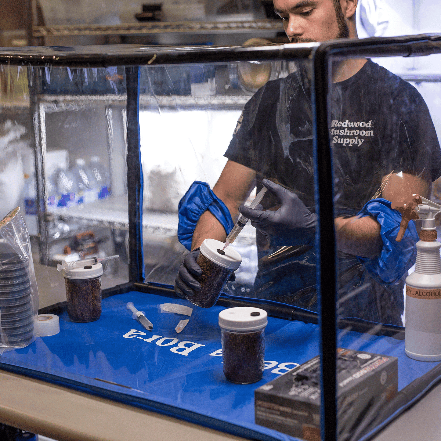 Person in a Redwood Mushroom Supply t-shirt using a syringe on grain jars inside the Bella Bora Still Air Box, illustrating the process of inoculation.