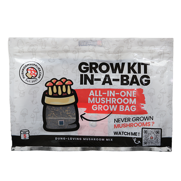 MushroomSupplies Grow Kit In-A-Bag