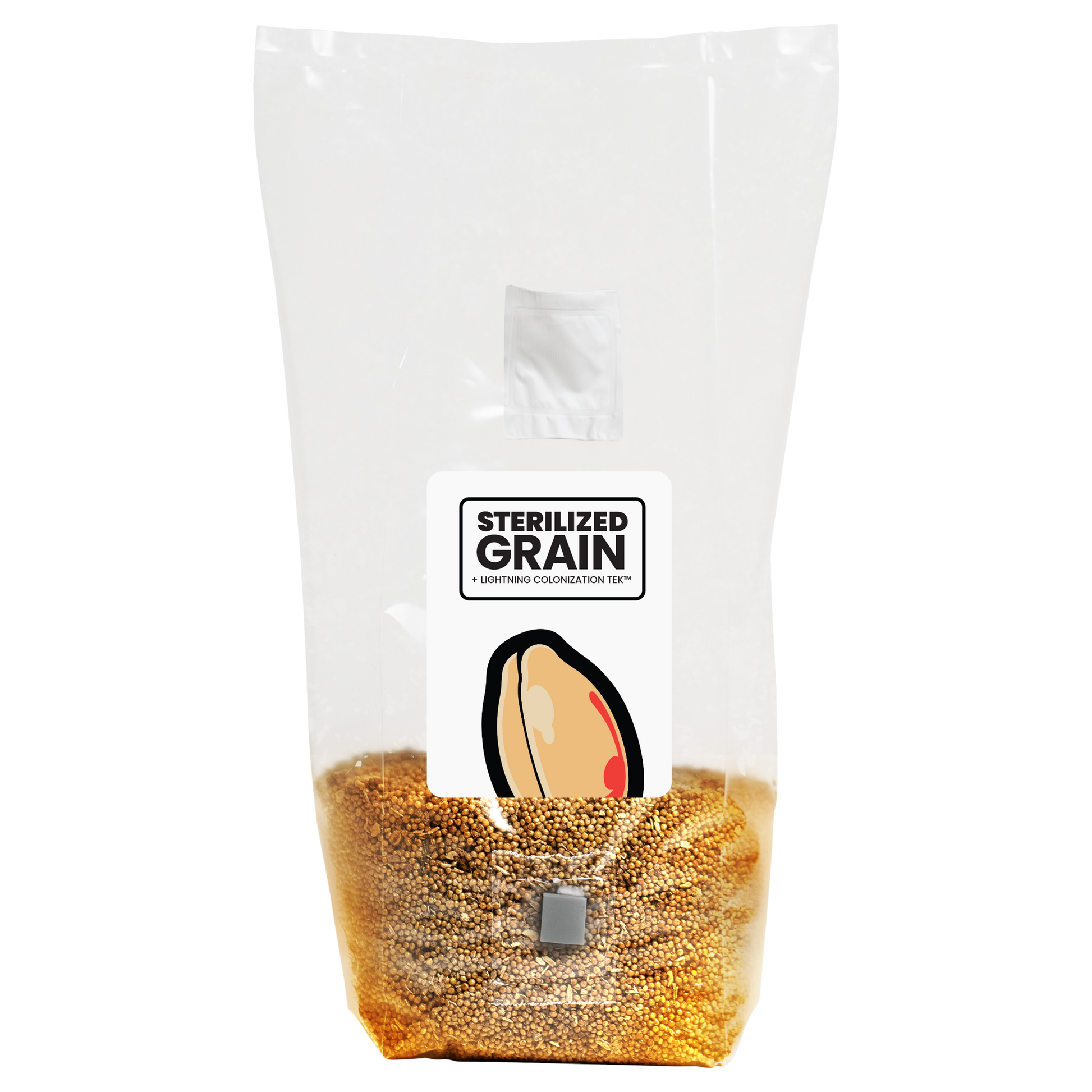 A sealed plastic grain spawn bag labeled 'Sterilized Grain' with a clear viewing window showing millet grains, standing upright against a white background.