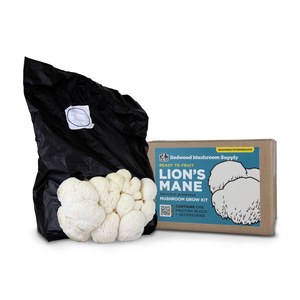 Lion's Mane Mushroom Grow Kit