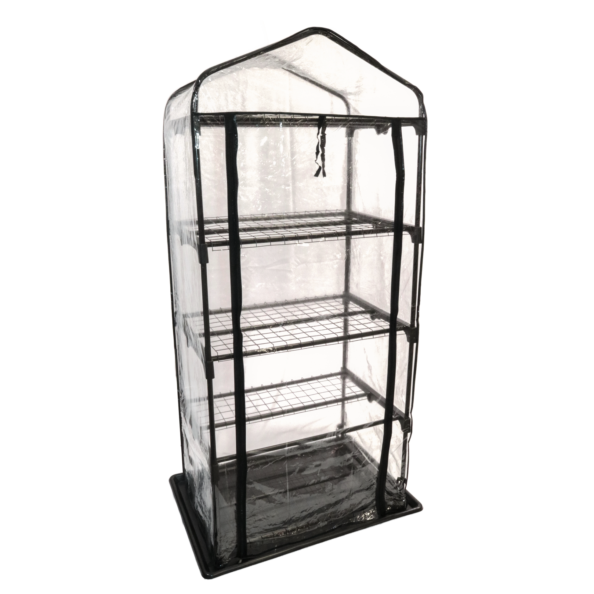 Angled view of a small transparent grow tent with multiple tiers, suitable for growing a variety of plants or fungi in a controlled environment.