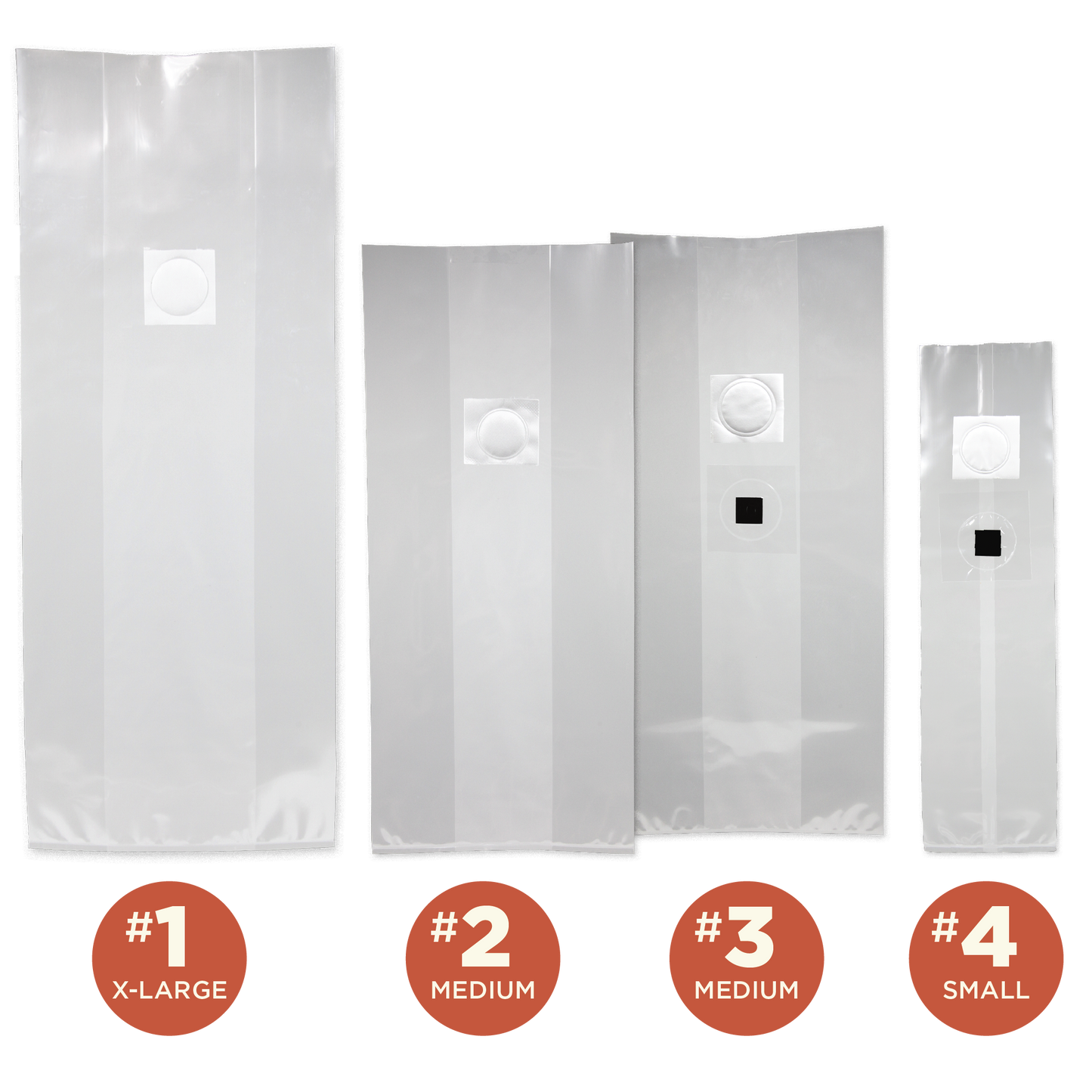 A lineup of 4 sizes of clear mushroom grow bag with filters and injection ports, with small orange circles indicating the sizes and numbers.