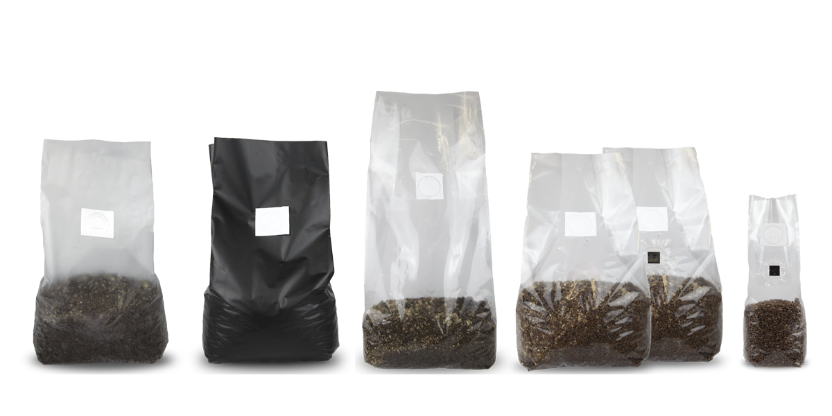 Mushroom Grow Bags 101: Everything You Should Know