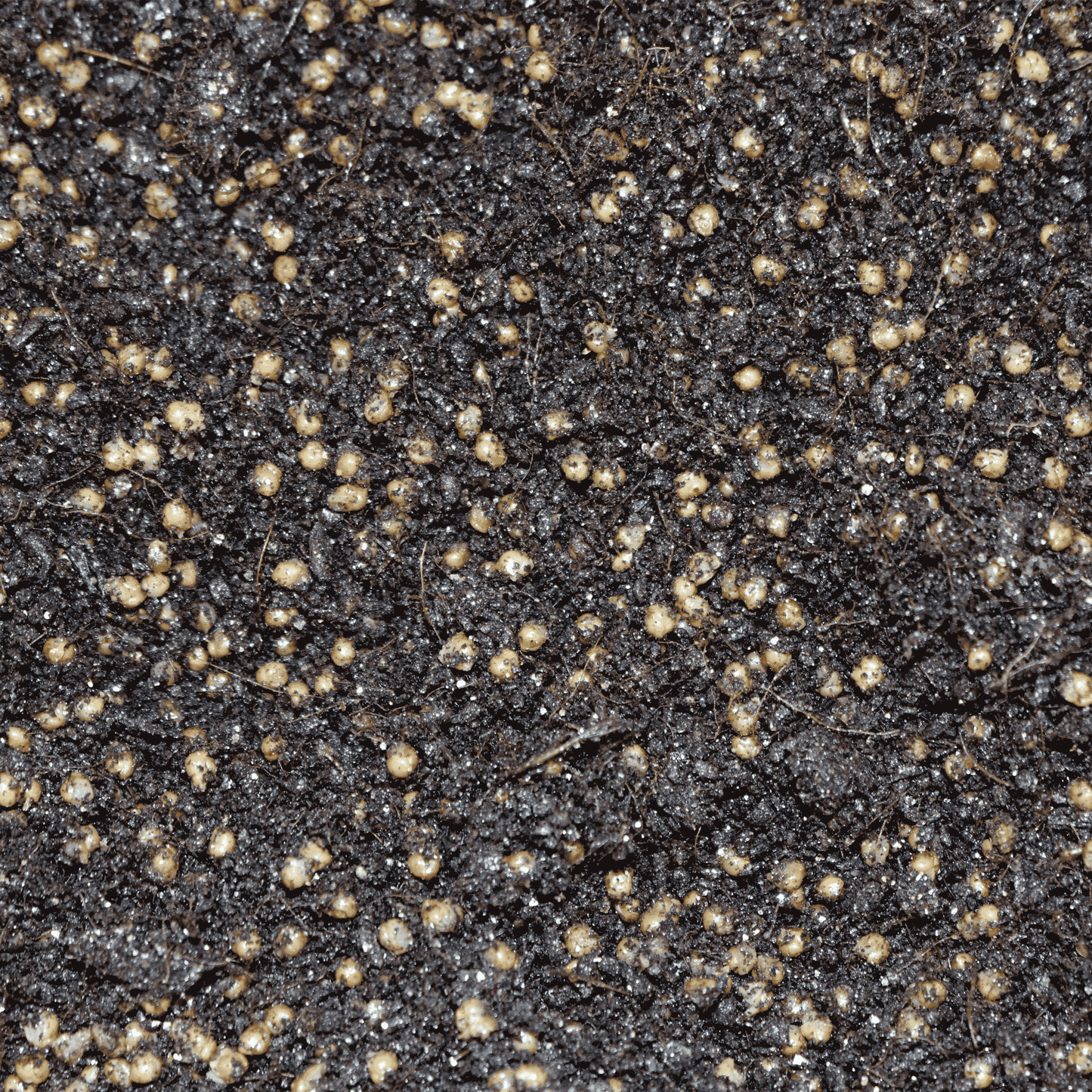 Detailed texture image showing the substrate mix within the "Grow Kit in a Bag PLUS".