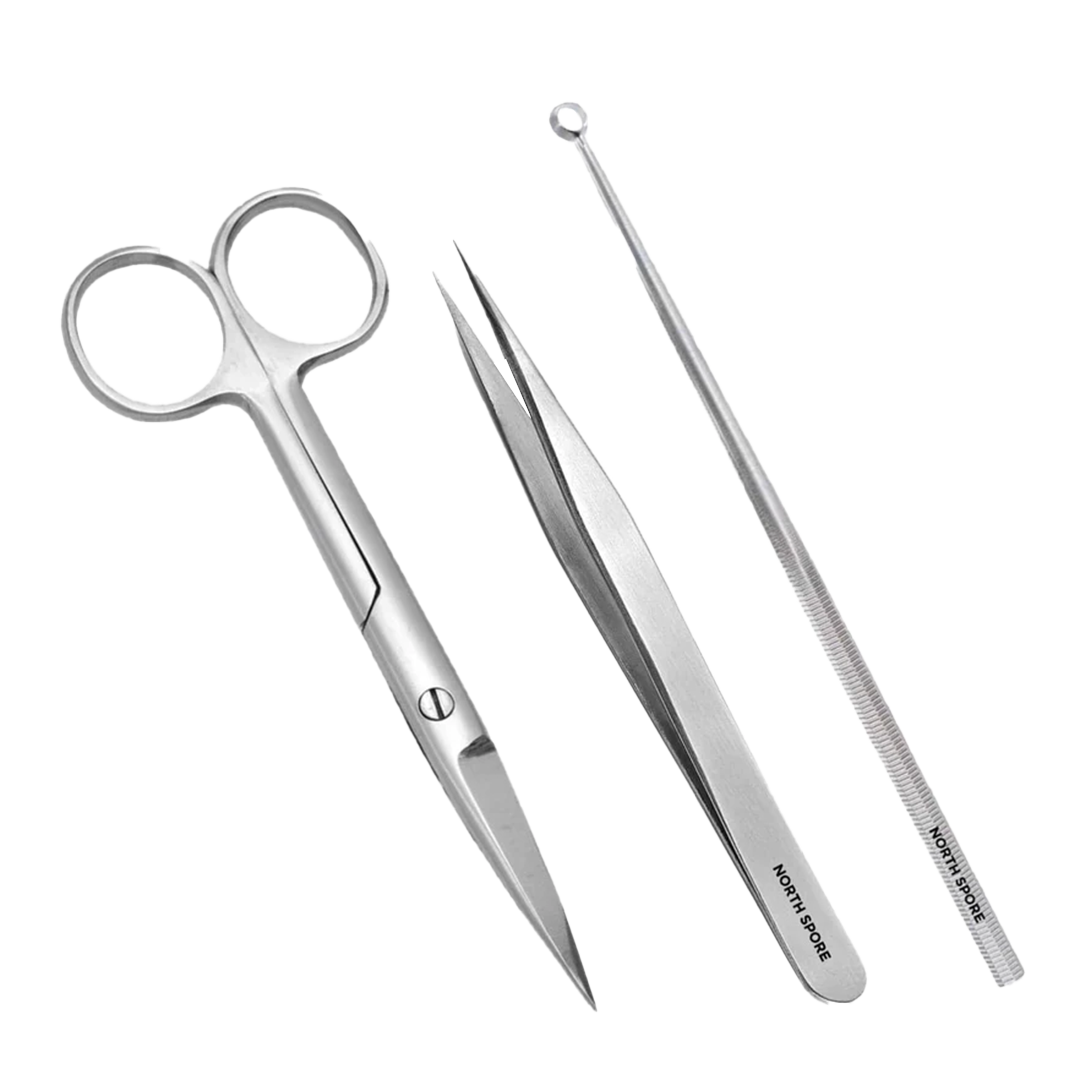 Stainless steel scissors, forceps, and inoculation loop with the label "north spore" for mycology. 