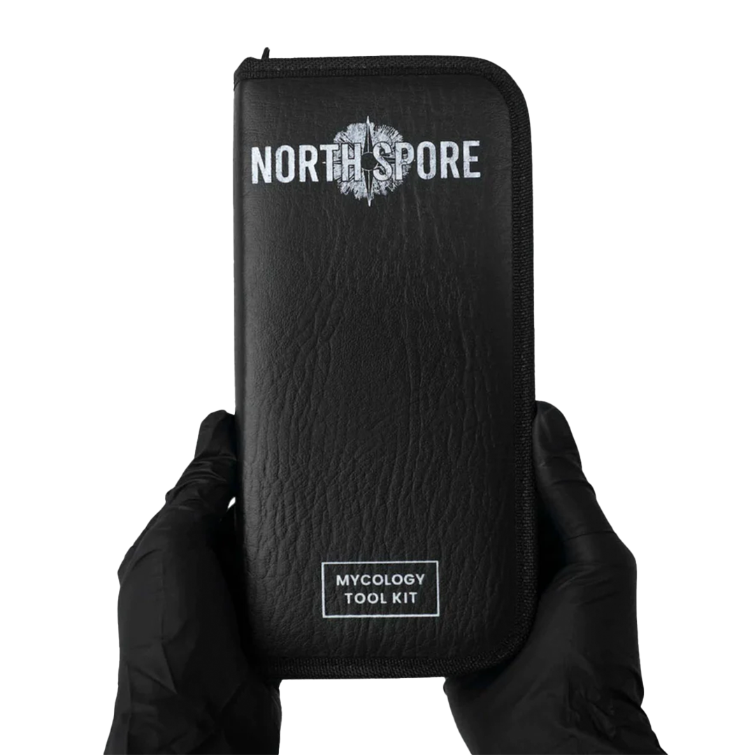 The rectangular leather pouch containing the mycology tool kit from north spore being held by someone wearing black nitrile gloves.