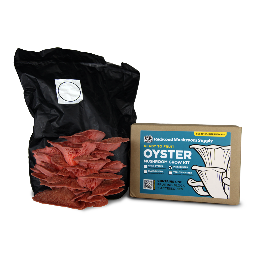 Pink Oyster Mushroom Grow Kit