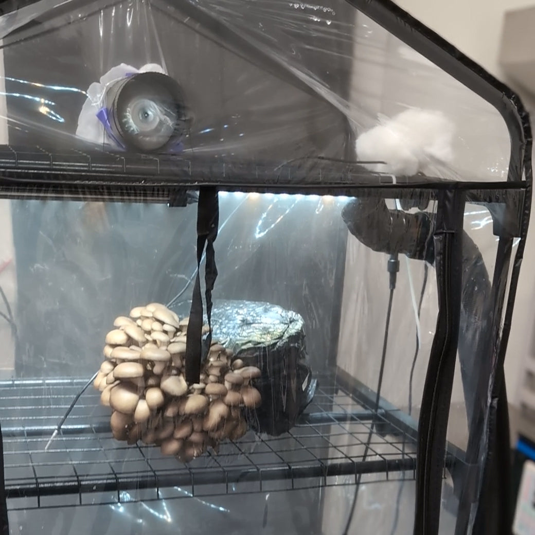 ShroomRoom Automated Mushroom Tent Bundle