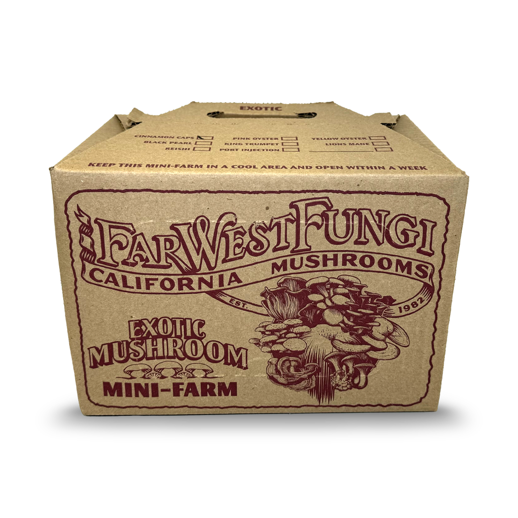 A square cardboard box containing an exotic mushroom mini farm grow kit from far west fungi. The box reads "Far West Fungi - California Mushrooms" with an illustration of several exotic mushrooms. 