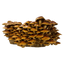 Golden chestnut mushrooms with brown tops an white spots in an umbrella shape growing from a mushroom grow kit
