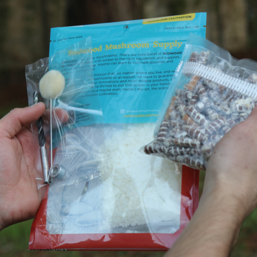 Blue Oyster Mushroom Outdoor Log Starter Kit