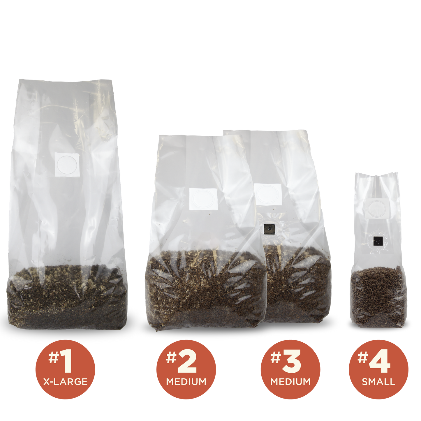 A lineup of clear mushroom grow bags with filter patches and injection ports filled with substrate and grain as a size comparison.