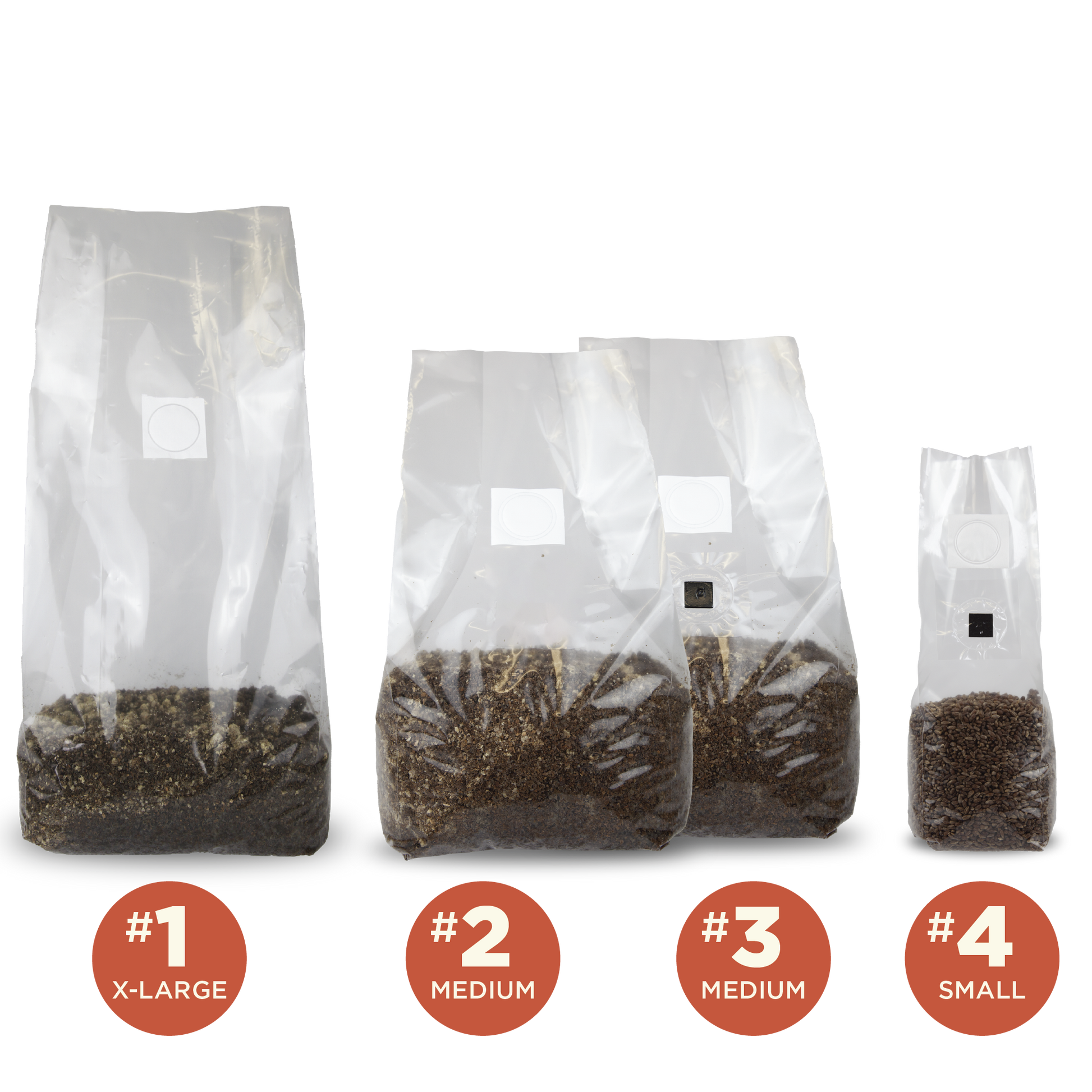 A lineup of clear mushroom grow bags with filter patches and injection ports filled with substrate and grain as a size comparison. 