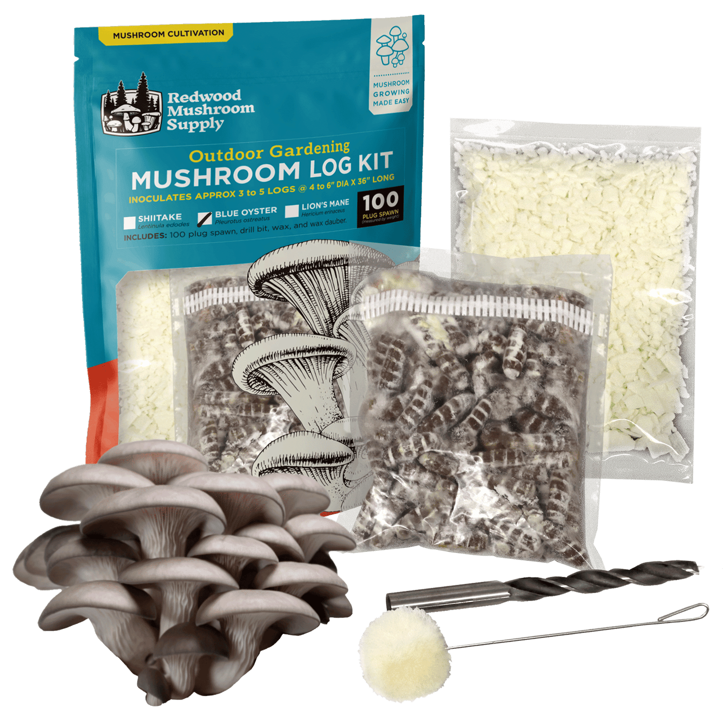 Blue Oyster Mushroom Outdoor Log Starter Kit