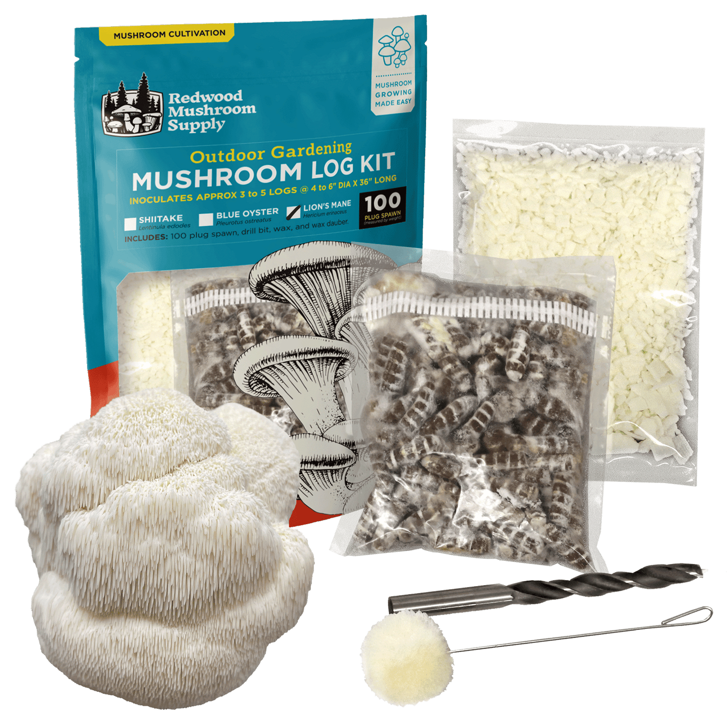 Lion's Mane Mushroom Outdoor Log Starter Kit