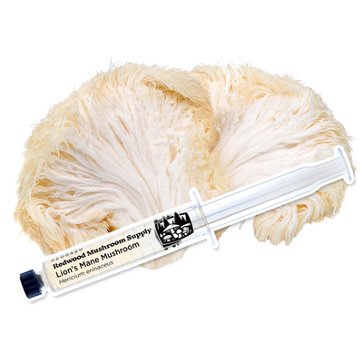 Redwood Mushroom Supply Lion's Mane Mushroom Liquid Culture Syringe on White Background