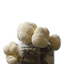 a rectangular mushroom grow bag with white round fuzzy lion's mane mushroom fruits growing out of it on all sides.