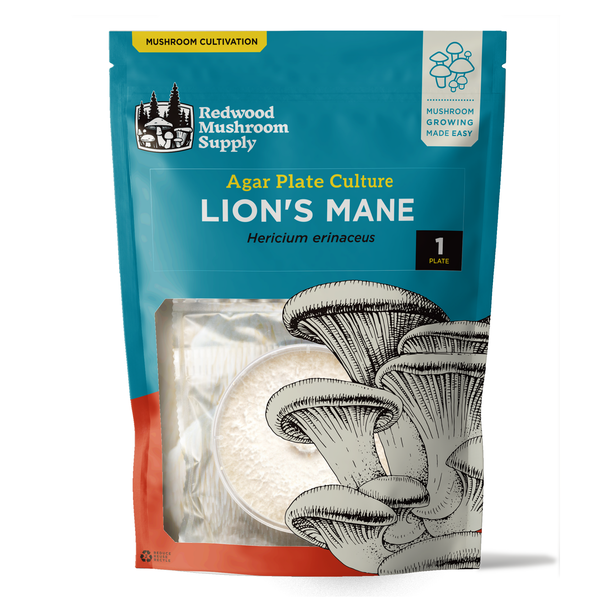 The Redwood Mushroom Supply Lion's Mane Culture Retail packaging in a rectangular blue and red bag. The front of the bag has a window with a depiction of an oyster mushroom, with the clear portion of the window showing the colonized lion's mane plate culture.