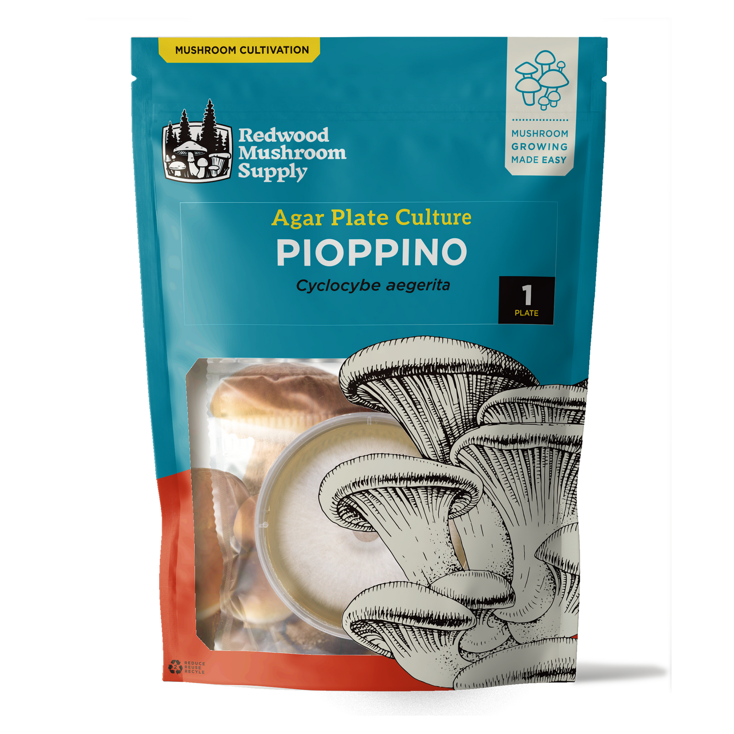 The retail packaging for a pioppino mushroom plate culture showing the culture through a small window at the base with a depcition of an oyster mushroom in the bottom rightr hand corner. The bag is red and blue and rectangular. 