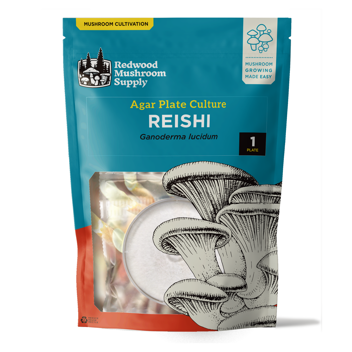 The front of a retail package containing a reishi mushroom plate culture visibile through a window at the bottom of the red and blue package with an image of an oyster mushroom on the front. 