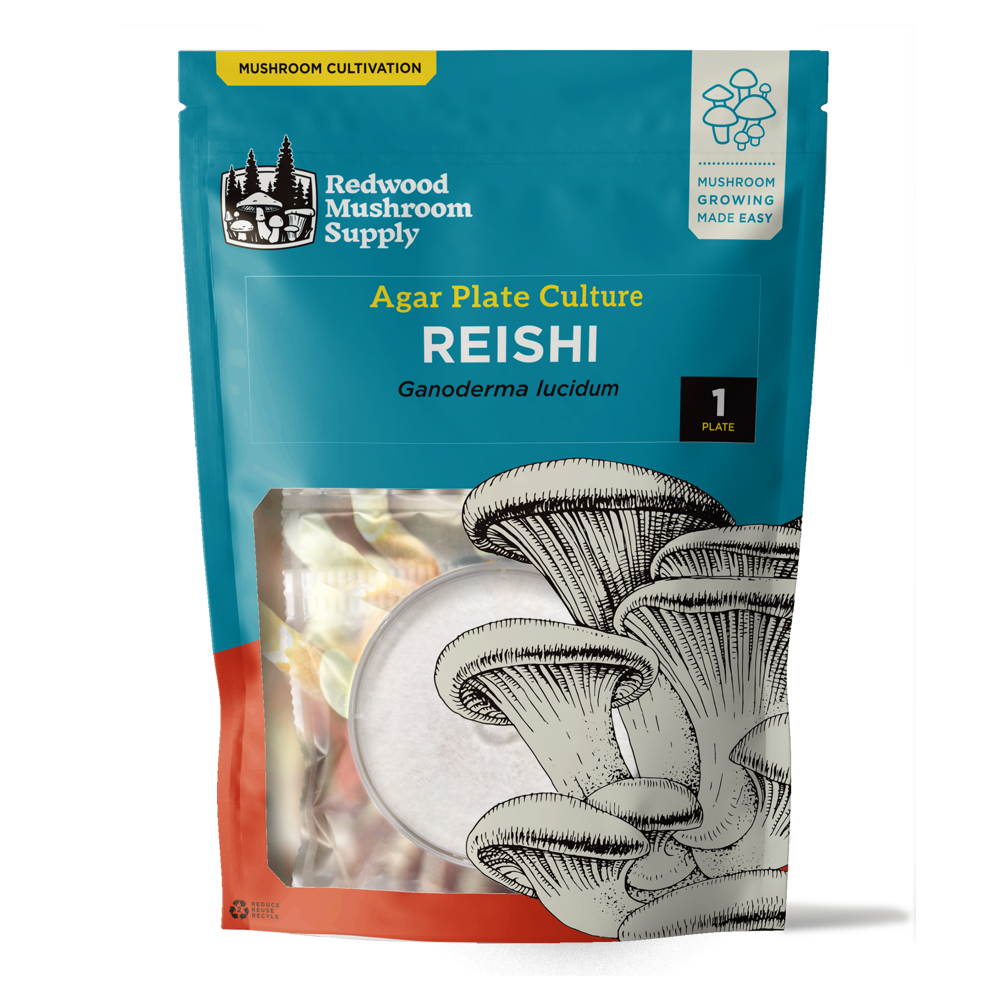 The front of a retail package containing a reishi mushroom plate culture visibile through a window at the bottom of the red and blue package with an image of an oyster mushroom on the front. 